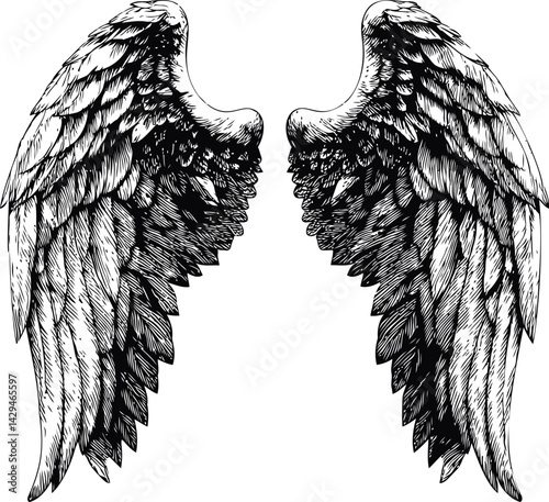 Detailed black and white illustration of angel wings with intricate feathers in sketch style. Vector illustration