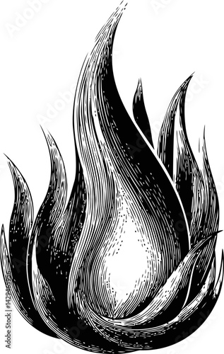 Monochrome flame drawing with intricate line details in sketch style, mystical art concept. Vector illustration