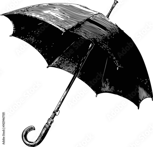 Black vintage umbrella with wooden handle drawn in detailed line art in sketch style. Vector illustration