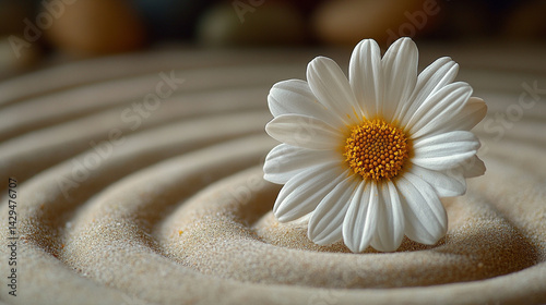 Obraz na płótnie A delicate white flower rests on smooth neutral sand marked by a gentle circular pattern symbolizing peace balance renewal and the harmony between nature and mindfulness in a calm setting
w salonie