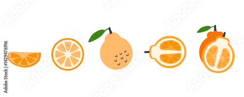 Hallabong orange tangerine fruit half vector collection. Perfect art for stickers, poster, label, sale, card. Hand drawn illustration for decor and design.