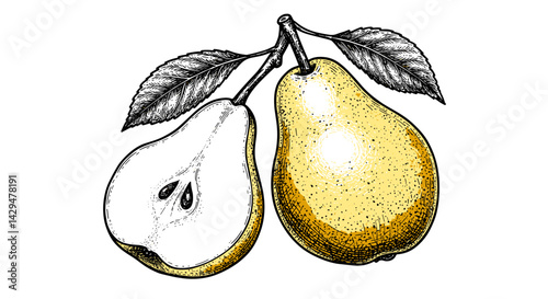 Two Yellow Pears Illustrated with Leaves Depicting Fresh Fruit  