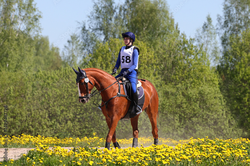 Equestrian woman ride horseback in summer meadow