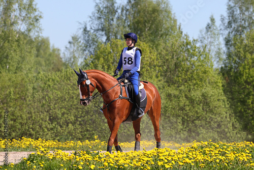 Obraz na płótnie Equestrian woman ride horseback in summer meadow
w salonie