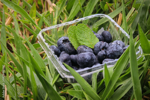 vayas de color morado oscuro 