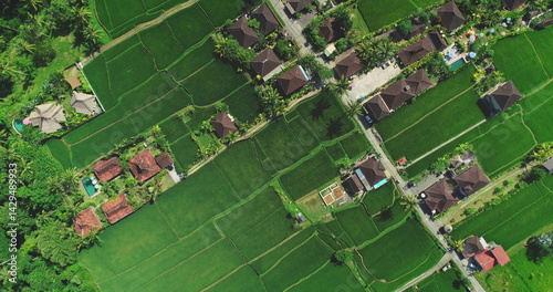 Obraz na płótnie Aerial view of vibrant green rice fields and traditional houses with red roofs, surrounded by tropical vegetation and pathways. Top down drone flight over Bali island landscape. Natural background w salonie