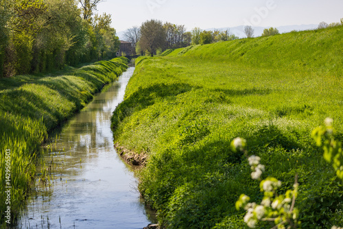 Dintorni dell'Oasi di Manzolino.