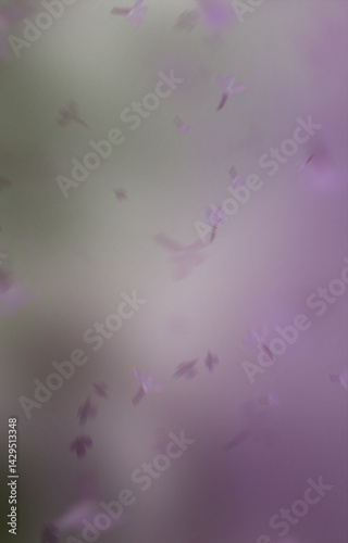 Ethereal Blurred Lavender: Transparent PNG Floral Overlay