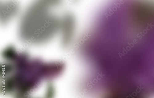 Ethereal Blurred Lavender: Transparent PNG Floral Overlay