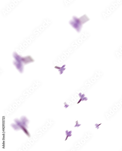 Mystical Purple Leaves Overlay: Ethereal Transparent PNG Graphic Resource