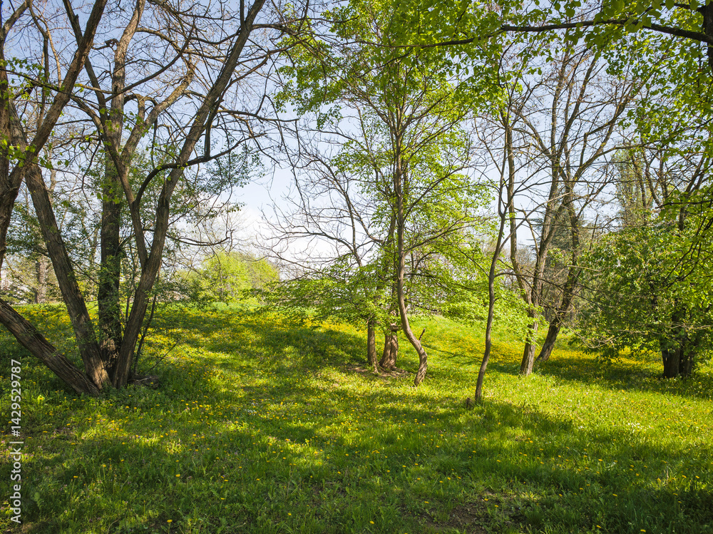 Panorama of South Park in city of Sofia, Bulgaria