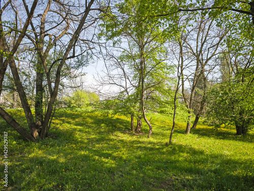 Obraz na płótnie Panorama of South Park in city of Sofia, Bulgaria w salonie