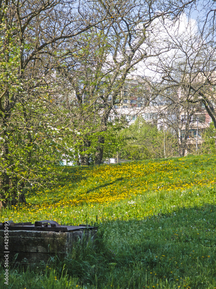 Panorama of South Park in city of Sofia, Bulgaria