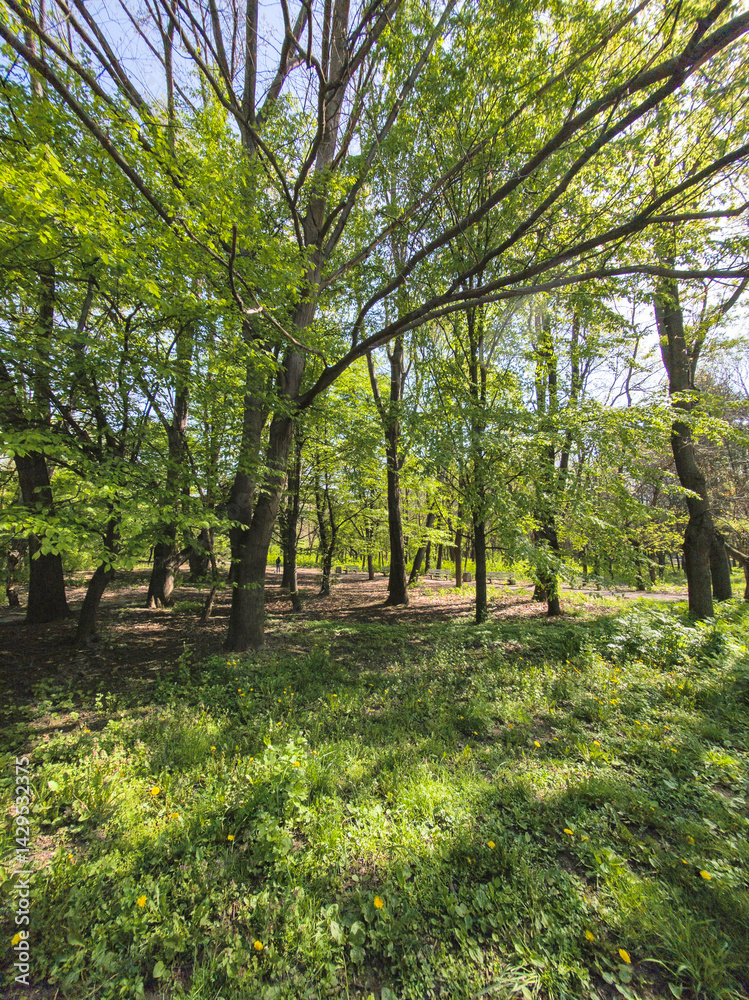 Panorama of South Park in city of Sofia, Bulgaria