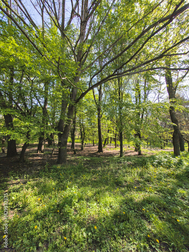 Obraz na płótnie Panorama of South Park in city of Sofia, Bulgaria w salonie