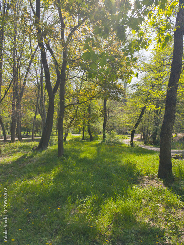 Obraz na płótnie Panorama of South Park in city of Sofia, Bulgaria w salonie