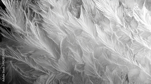 Macro view of frost crystals forming delicate patterns on a windowpane.