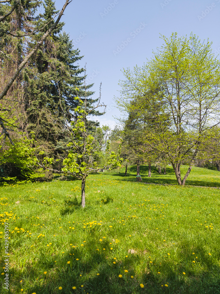 Panorama of South Park in city of Sofia, Bulgaria