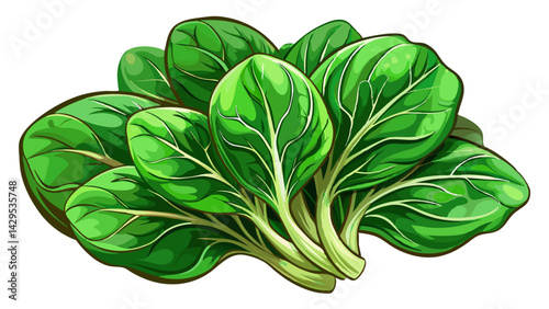 Fresh spinach on white background