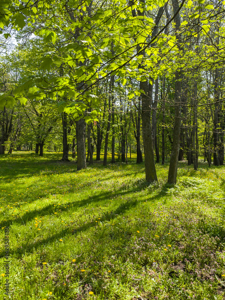 Panorama of South Park in city of Sofia, Bulgaria