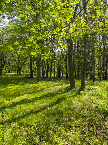 Obraz na płótnie Panorama of South Park in city of Sofia, Bulgaria w salonie