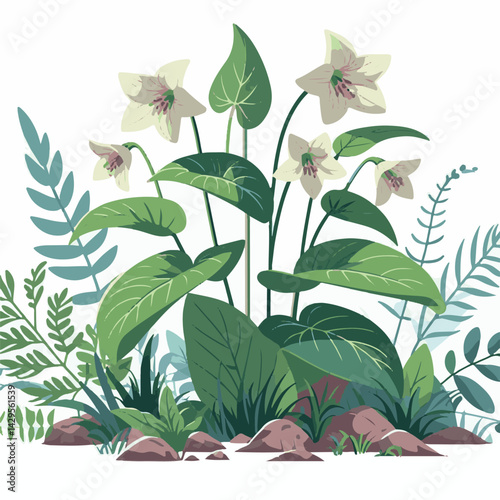 nature, green, beautiful, flower, floral, background, natural, forest, flora, environment, spring, plant, blossom, wild, leaf, bloom, wildflower, ontario, closeup, white, canada, outdoors, fresh, bloo