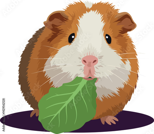 Guinea pig eating green leaf vector illustration with brown and white fur natural pose 