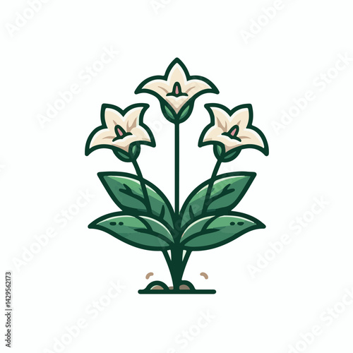 nature, green, beautiful, flower, floral, background, natural, forest, flora, environment, spring, plant, blossom, wild, leaf, bloom, wildflower, ontario, closeup, white, canada, outdoors, fresh, bloo