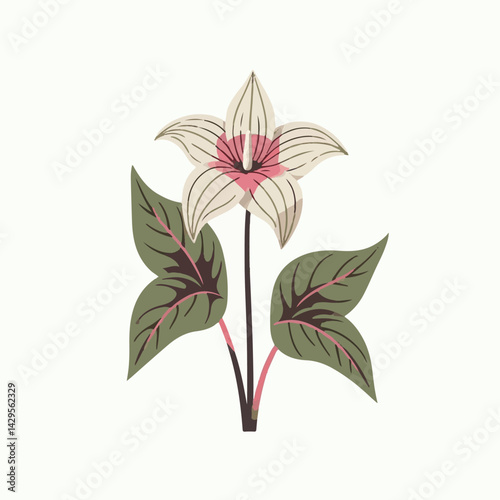 nature, green, beautiful, flower, floral, background, natural, forest, flora, environment, spring, plant, blossom, wild, leaf, bloom, wildflower, ontario, closeup, white, canada, outdoors, fresh, bloo