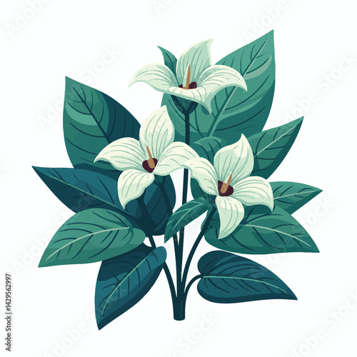 nature, green, beautiful, flower, floral, background, natural, forest, flora, environment, spring, plant, blossom, wild, leaf, bloom, wildflower, ontario, closeup, white, canada, outdoors, fresh, bloo