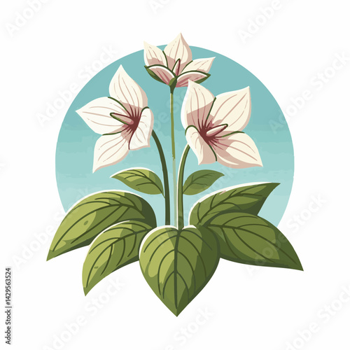 nature, green, beautiful, flower, floral, background, natural, forest, flora, environment, spring, plant, blossom, wild, leaf, bloom, wildflower, ontario, closeup, white, canada, outdoors, fresh, bloo