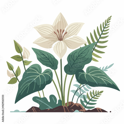nature, green, beautiful, flower, floral, background, natural, forest, flora, environment, spring, plant, blossom, wild, leaf, bloom, wildflower, ontario, closeup, white, canada, outdoors, fresh, bloo