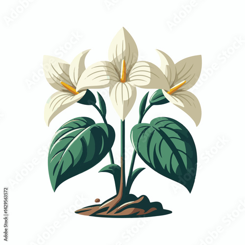nature, green, beautiful, flower, floral, background, natural, forest, flora, environment, spring, plant, blossom, wild, leaf, bloom, wildflower, ontario, closeup, white, canada, outdoors, fresh, bloo