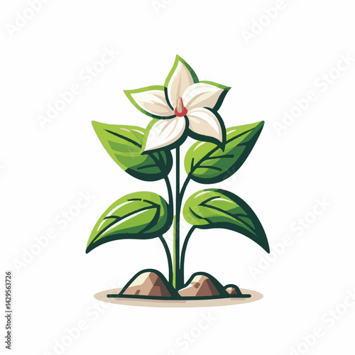 nature, green, beautiful, flower, floral, background, natural, forest, flora, environment, spring, plant, blossom, wild, leaf, bloom, wildflower, ontario, closeup, white, canada, outdoors, fresh, bloo
