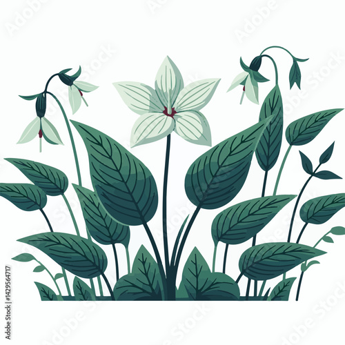 nature, green, beautiful, flower, floral, background, natural, forest, flora, environment, spring, plant, blossom, wild, leaf, bloom, wildflower, ontario, closeup, white, canada, outdoors, fresh, bloo