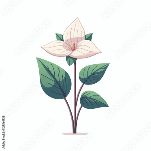 nature, green, beautiful, flower, floral, background, natural, forest, flora, environment, spring, plant, blossom, wild, leaf, bloom, wildflower, ontario, closeup, white, canada, outdoors, fresh, bloo