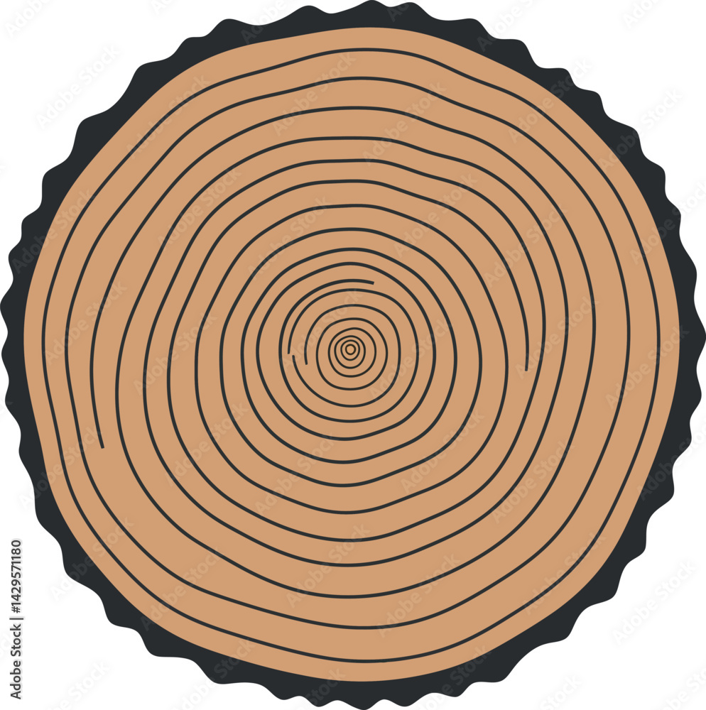 Fototapeta premium Tree trunk cross section vector with concentric rings natural texture illustration