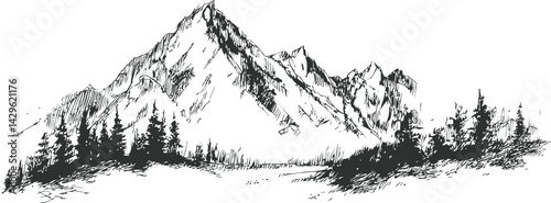 Mountain landscape with detailed sketches of trees and peaks, monochrome art. Vector illustration