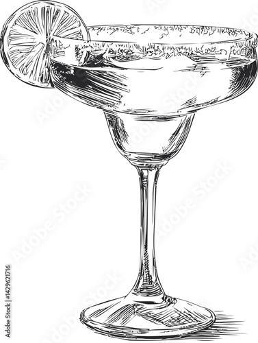 Black and white sketch of a margarita glass with lime slice, artistic illustration. Vector illustration