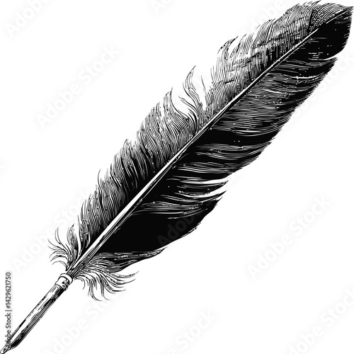 Black and white illustration of detailed feather on. Vector illustration