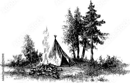 Campfire with smoke beside a tent among trees in a peaceful forest sketch. Vector illustration