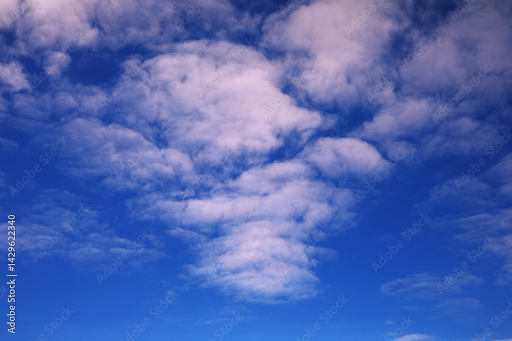 Fototapeta premium 青空と白い雲