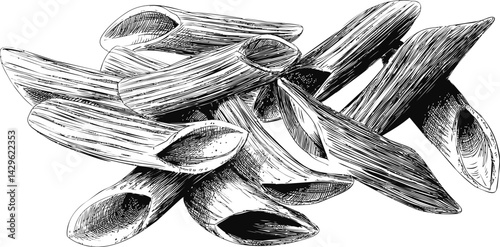 Detailed illustration of penne pasta in monochrome black and white drawing. Vector illustration