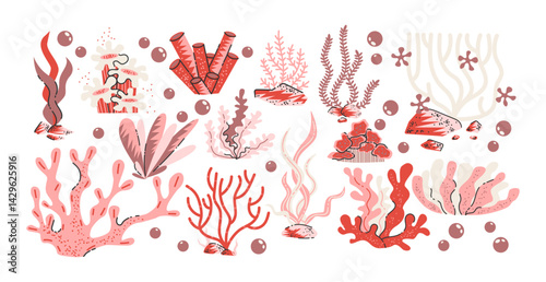 Coral reef underwater in retro cartoon style. Various sea corals, ocean plants, marine flora elements, colorful reef ecosystem illustration in trendy retro sticker style