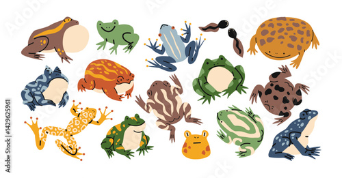 Frogs of various species in retro cartoon style. Colorful frogs, unique shapes, tropical amphibians, nature diversity, 90s biology vibe, illustration in retro cartoon style, trendy stickers