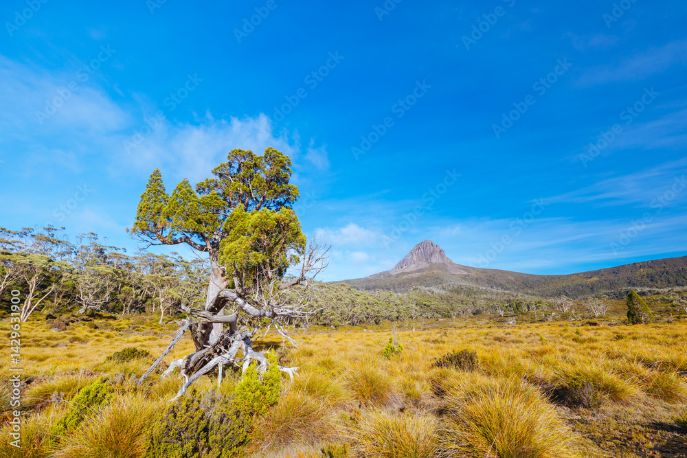 Barn Bluff Morning View in Tasmania Australia