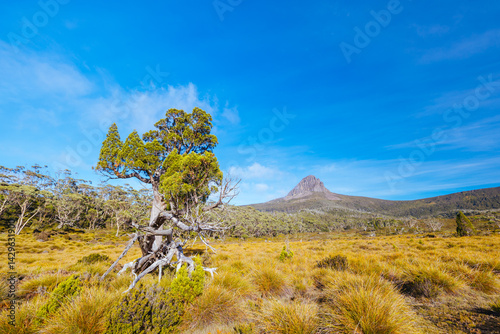 Obraz na płótnie Barn Bluff Morning View in Tasmania Australia w salonie