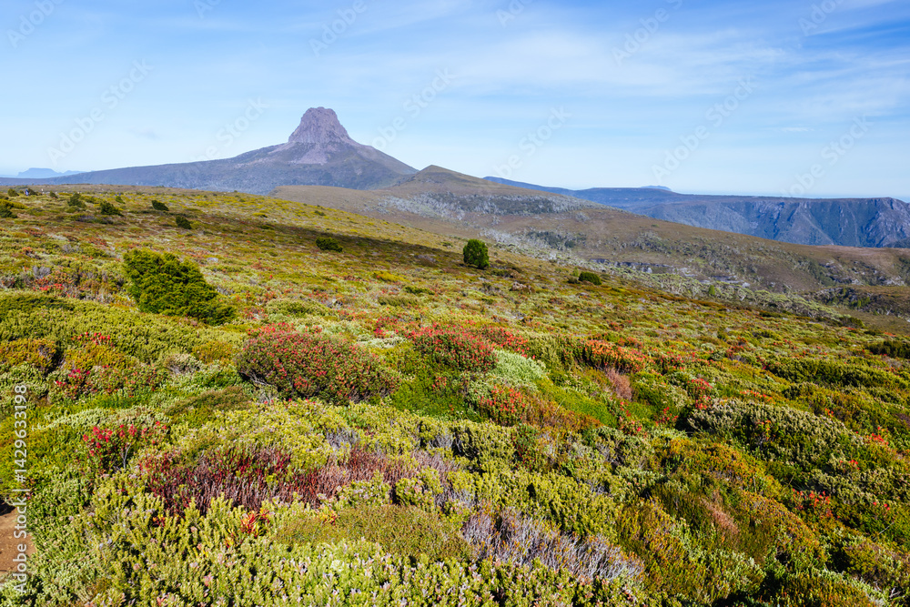 Barn Bluff Morning View in Tasmania Australia