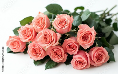Salmon Rose Bouquet on White Background ideal for educational course materials