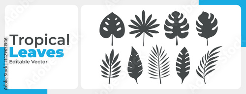 ​Comprehensive Vector Icon Set of Tropical Leaves Silhouettes for Creative Projects​

